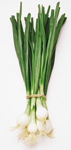 Fresh green onion (Ceapa verde), 0.1lb (50g)